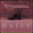 Withering Daisy
