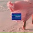 Lirvina