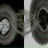 heartlocketcult, syntha.