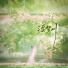 王梓钰