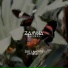 ZSS, Laherte