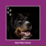 Relaxing Dog Music