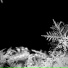 darkdream