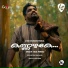 Sibu Sugumaran, Faisal Ponnani