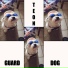 TEON