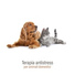 Pet Music Academy