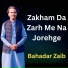 Bahadar Zaib