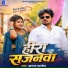 Anand Pandey