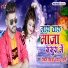Vikesh Vidyarthi, Priya Pardesi
