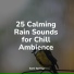 Pet Care Music Therapy, Música Zen Relaxante, Rain