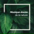 Zen Ambiance d'Eau Calme