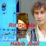 Habib Jbeli