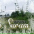 Wasunu