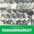 Panos Kokkinos, Terris Morayiemos