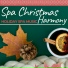 Spa Essentials Collection