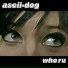 ascii-dog