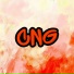 DSLNSAG