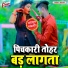 Satish Bedardi