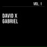 David X Gabriel