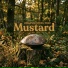 ORGANIC STEEL TRIO, Relaxing Spa Music