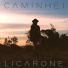 Licarone