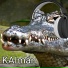 KaiJNb