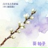 葵 柚子