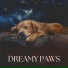 Dog Sleep Academy