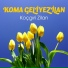 Koma Geliye Zilan