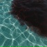 dmndwave