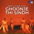 Aneela Sundar Group