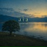 AiA