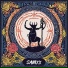 SANIXX