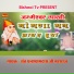 Sant GhanshyamDas ji maharaj
