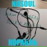 NOSOUL