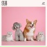犬のための音楽, 犬の安眠ミュージック, 犬の音楽, ペット 音楽