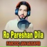 Farooq Jan Musafir