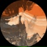 TJ