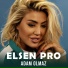 Elsen Pro
