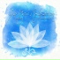 Spa Music Consort, Calming Music Sanctuary