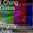 I Ching Gatos