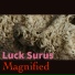 Luck Surus