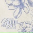 Uloman