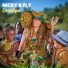Nicky B Fly