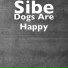 Sibe