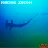 Всеволод Дорохин