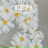 王共灵
