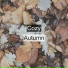 Rain Sounds