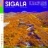 Sigala, Trevor Daniel, 24KGoldn