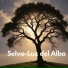 Selva
